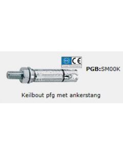 Keilbout PFG - SB ankerstang M 10x30.00x100mm (15 stuks)